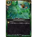 (2026/A)バインディングケルプ【C】{26RBS03-090}《緑》