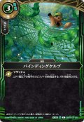 (2026/A)バインディングケルプ【C】{26RBS03-090}《緑》