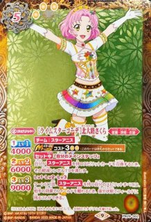 プレミアムカードセット 『アイカツ！ ソレイユ＆ぽわぽわ