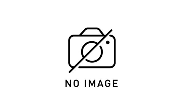画像1: (2024/11)絶甲氷盾(バトルスキーロゴ)【C】{SD56-RV009}《白》 (1)