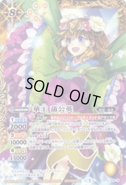 画像1: 〔状態B〕(2016/3)華王蒲公英【X】{P16-15}《黄》 (1)