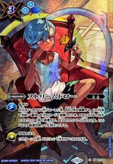 BSC44] テーマブースター AGE OF AVENGERS - カードラッシュ