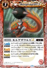 BSC50] アニメブースター RESONATING STARS - カードラッシュ[バトル