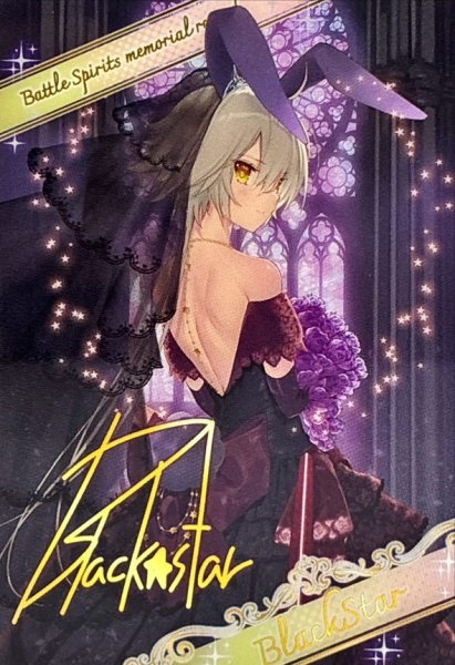 画像1: (/)(ブロマイド)［ずっと一緒に］ブラックスター【-】{D07-30}《》 (1)