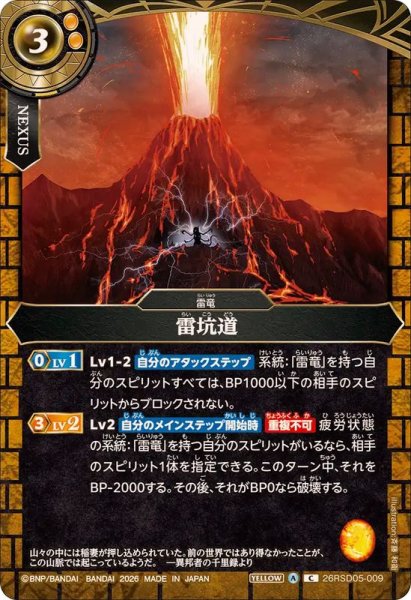 画像1: (2026/A)雷坑道【C】{26RSD05-009}《黄》 (1)