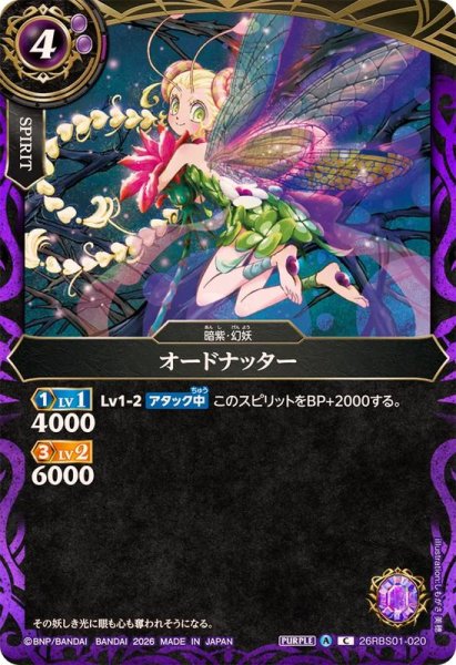 画像1: (2026/A)オードナッター【C】{26RBS01-020}《紫》 (1)