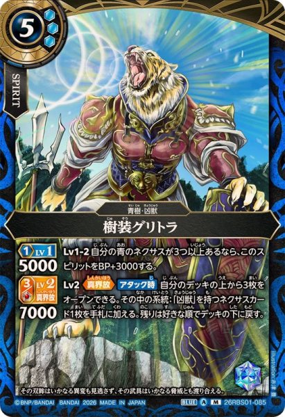 画像1: (2026/A)樹装グリトラ【M】{26RBS01-085}《青》 (1)