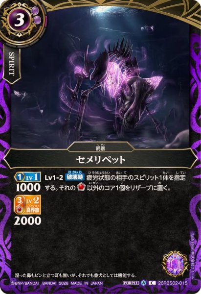 画像1: (2026/A)セメリペット【C】{26RBS02-015}《紫》 (1)