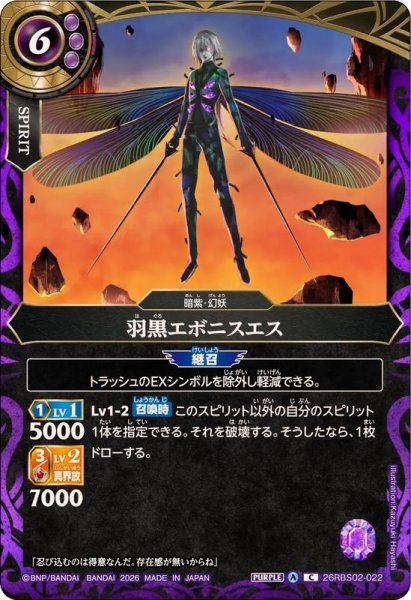 画像1: (2026/A)羽黒エボニスエス【C】{26RBS02-022}《紫》 (1)